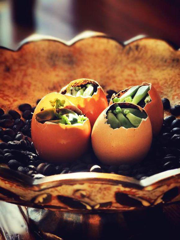 一位90后的姑娘，整天痴迷于花草，结果将生活变成了美丽的诗！