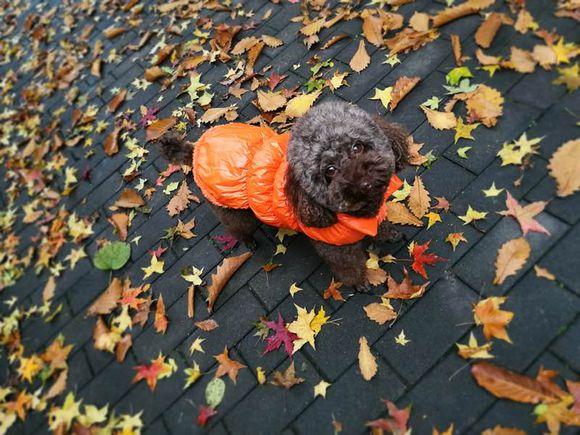 一位90后的姑娘，整天痴迷于花草，结果将生活变成了美丽的诗！