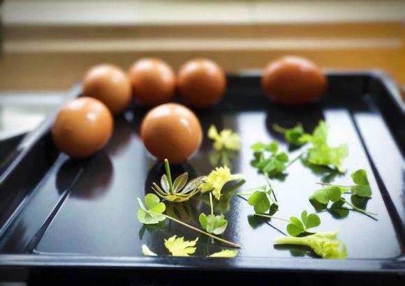 一位90后的姑娘，整天痴迷于花草，结果将生活变成了美丽的诗！