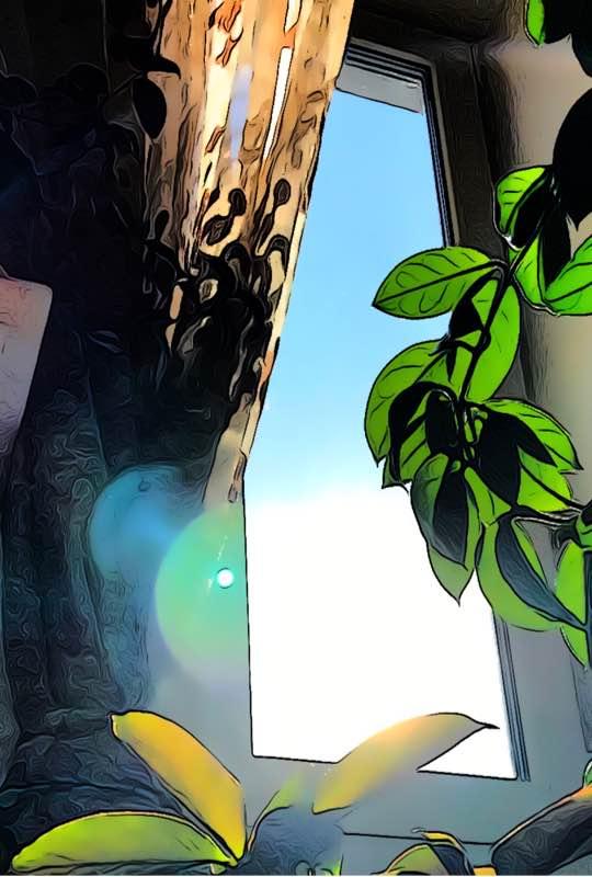 一位90后的姑娘，整天痴迷于花草，结果将生活变成了美丽的诗！