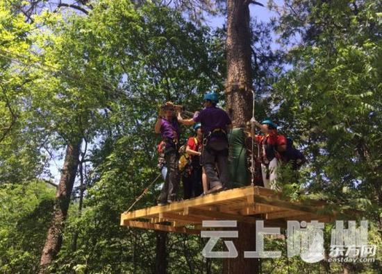 传统与现代的碰撞 全国旅游大咖走进随州大洪山