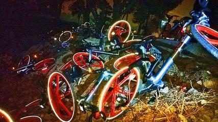 共享单车被弃荒野