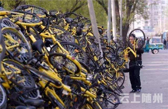 共享单车被弃荒野