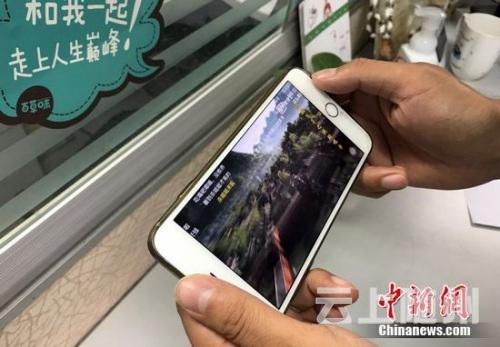资料图；用户使用手机APP观看视频。<a target='_blank' href='http://www.chinanews.com/' >中新网</a> 程春雨 摄
