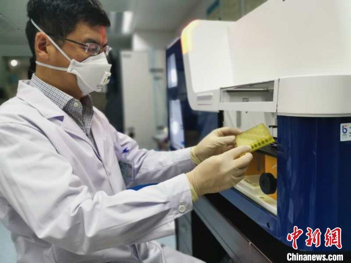 资料图：科研人员在工作中。图文不相关