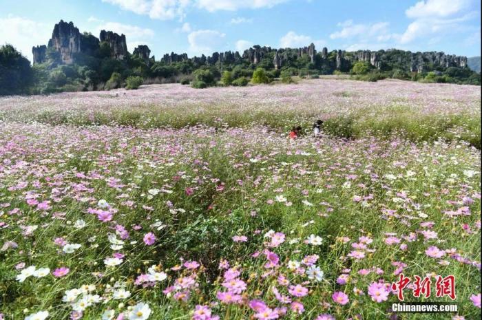点击进入下一页