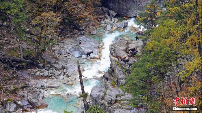 点击进入下一页