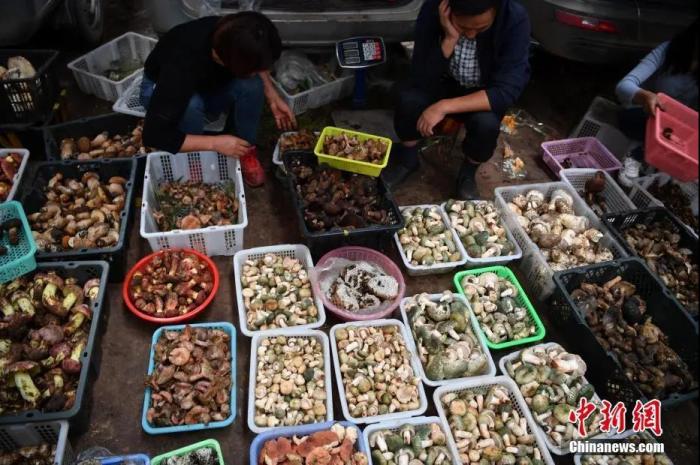 点击进入下一页