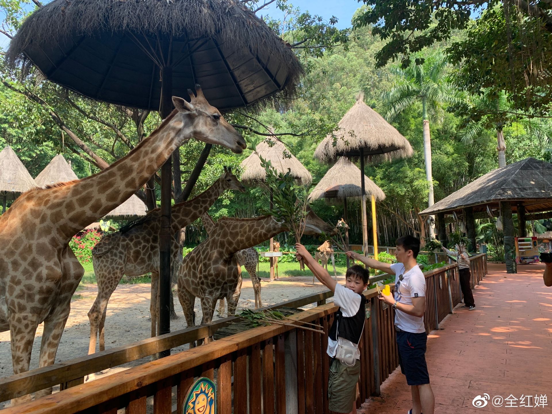 点击进入下一页