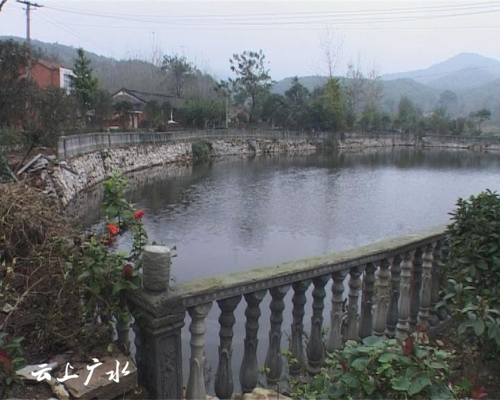 美丽乡村—吴店镇塘畈村