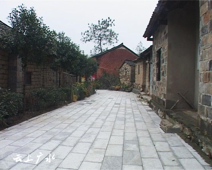 美丽乡村—吴店镇塘畈村