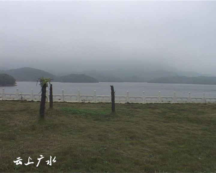 美丽乡村—吴店镇塘畈村
