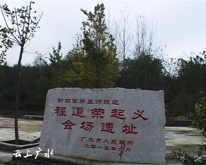 美丽乡村—吴店镇塘畈村