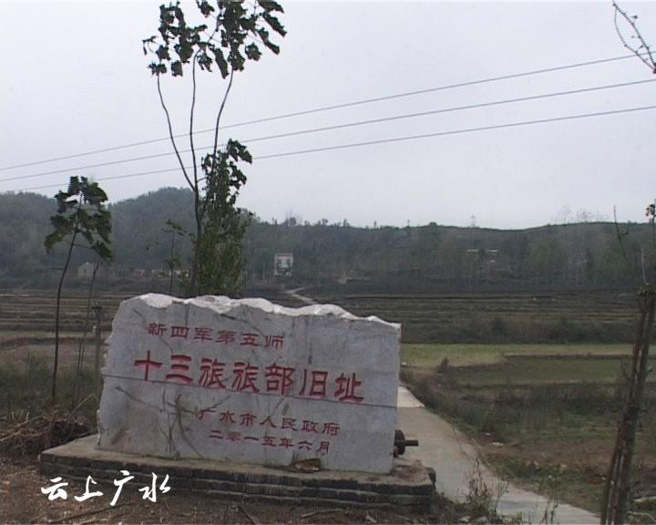 美丽乡村—吴店镇塘畈村