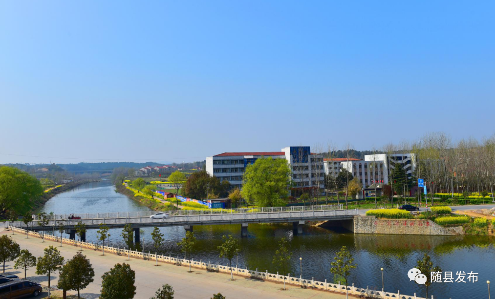 全市擦亮小城镇行动现场推进会在随县洪山镇举行