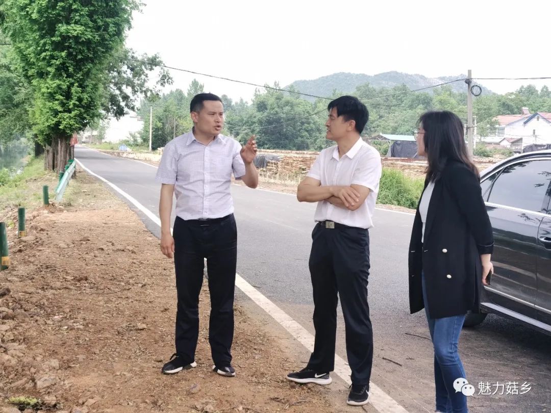 炳坤到三里岗镇调研指导党史学习教育和新时代文明实践工作