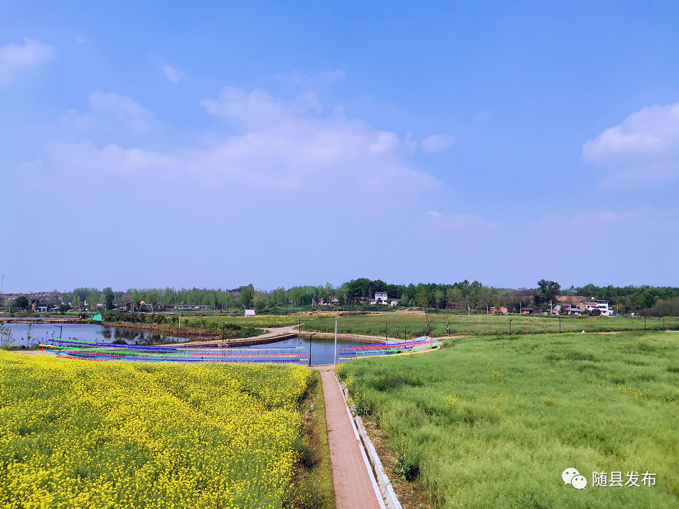 东润紫海田园图片