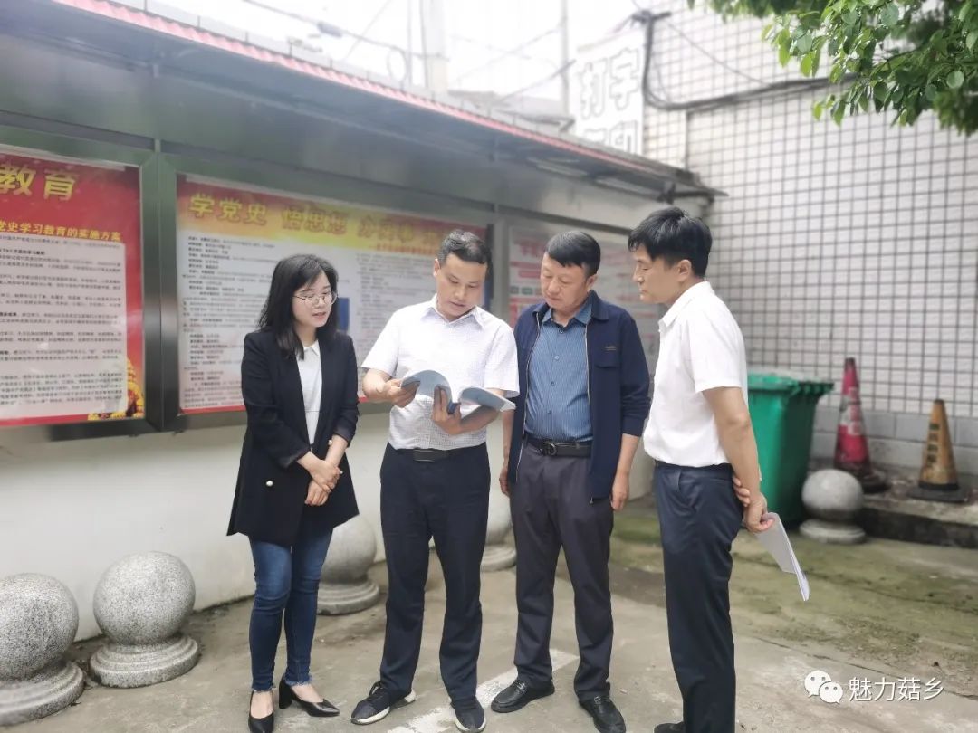 炳坤到三里岗镇调研指导党史学习教育和新时代文明实践工作