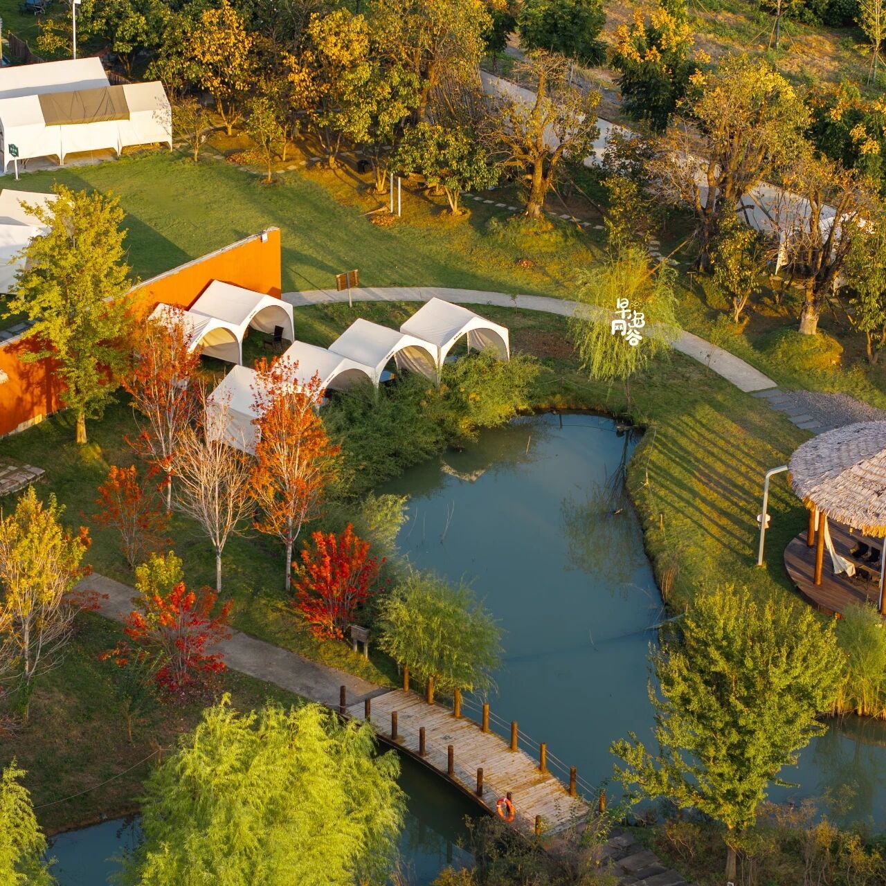 这么好看，不愧是东西湖的秋天！