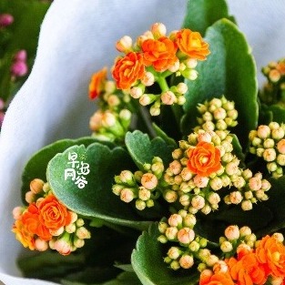 东西湖遛弯儿好地方，藏在这里！