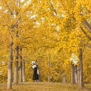 悄悄告诉你，最出片的秋天在东西湖