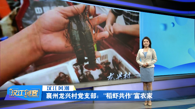 襄州龙兴村党支部：“稻虾共作”富农家