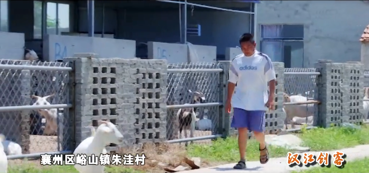 硕士刘比一的羊倌路