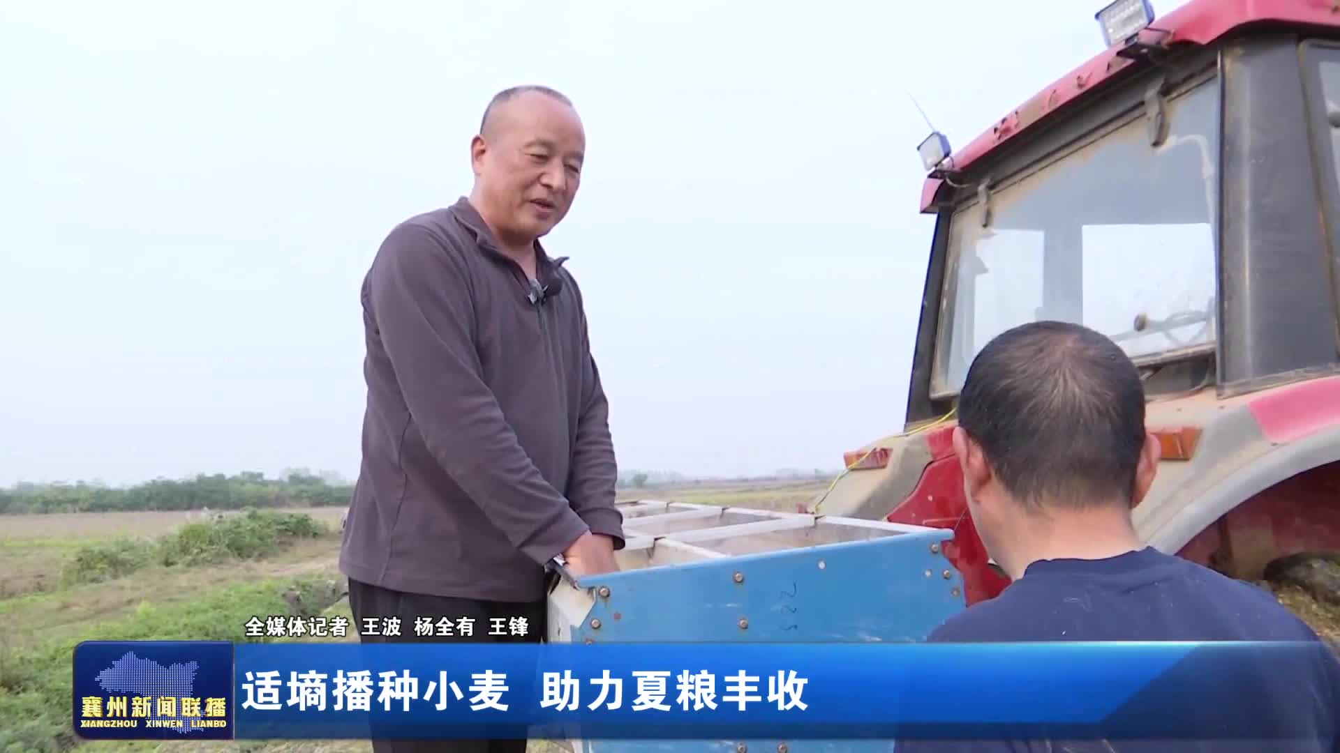 适墒播种小麦 助力夏粮丰收