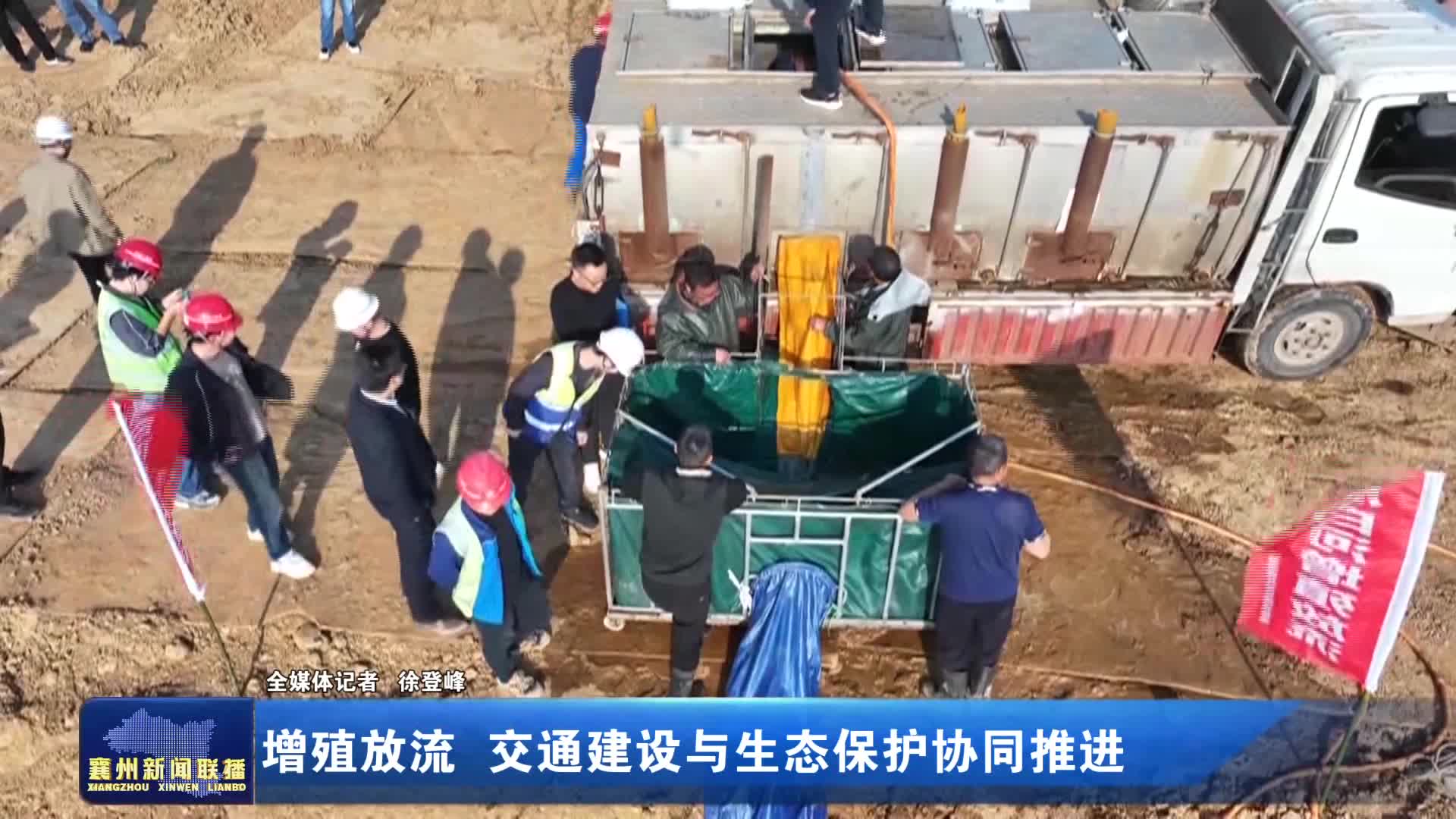 增殖放流 交通建设与生态保护协同推进