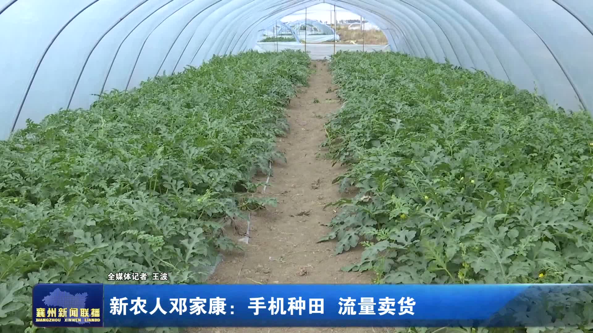 新农人邓家康：手机种田 流量卖货