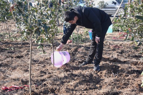 植树，添绿，曾都区700余名干部义务植树