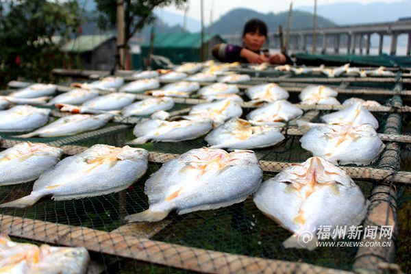 曾记否？那消失于海角的“潮水班”