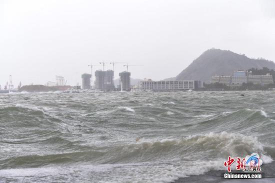 8月23日，台风“天鸽”登陆广东，深圳迎来狂风暴雨。 <a target='_blank' href='http://www.chinanews.com/'>中新社</a>记者 陈文 摄