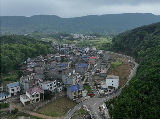 阳新枫林镇:"四好路"链接农民"幸福路"