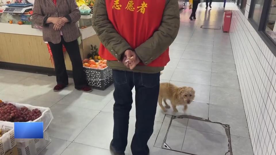 【新闻直通车】记者暗访·农贸市场 | 卫生脏乱 设施失效 烟火气里乱象多