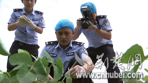 鄢振华_副本.png