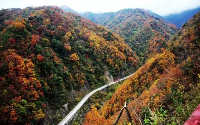 6月起，四川这些地方简直美得一塌糊涂，够你玩整年