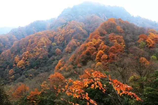 6月起，四川这些地方简直美得一塌糊涂，够你玩整年