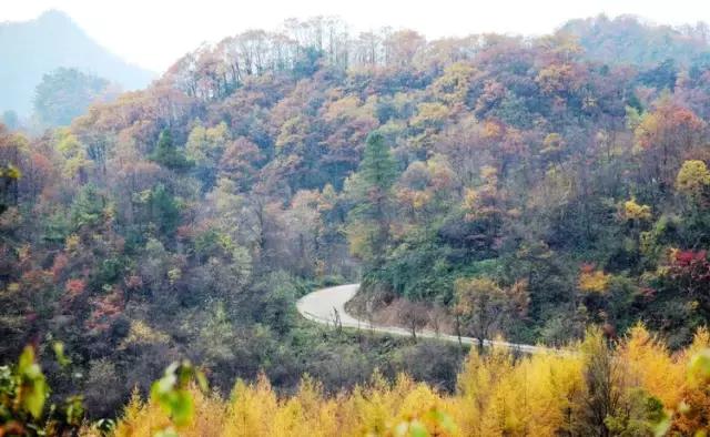 6月起，四川这些地方简直美得一塌糊涂，够你玩整年