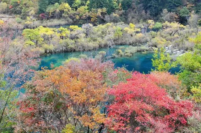 6月起，四川这些地方简直美得一塌糊涂，够你玩整年
