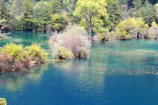 6月起，四川这些地方简直美得一塌糊涂，够你玩整年