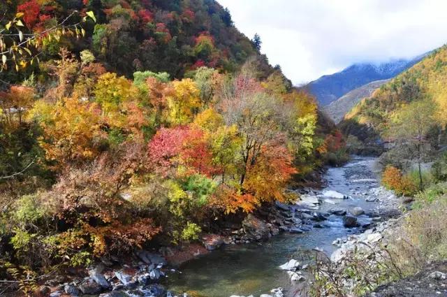 6月起，四川这些地方简直美得一塌糊涂，够你玩整年