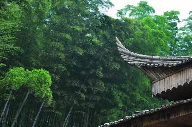 6月起，四川这些地方简直美得一塌糊涂，够你玩整年