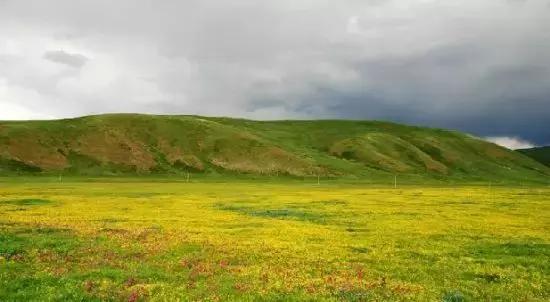 6月起，四川这些地方简直美得一塌糊涂，够你玩整年
