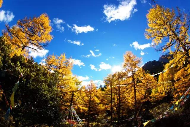 6月起，四川这些地方简直美得一塌糊涂，够你玩整年