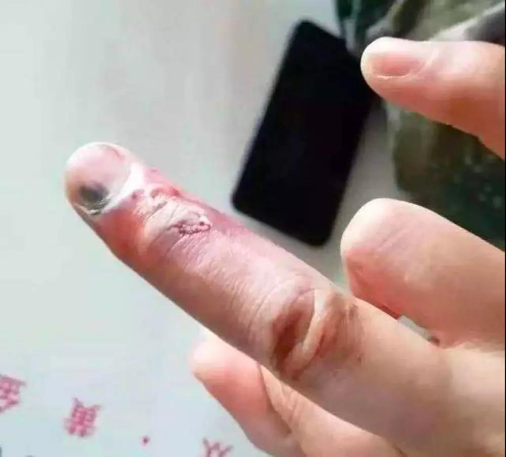 请不要辜负这片土地上,最好的人民