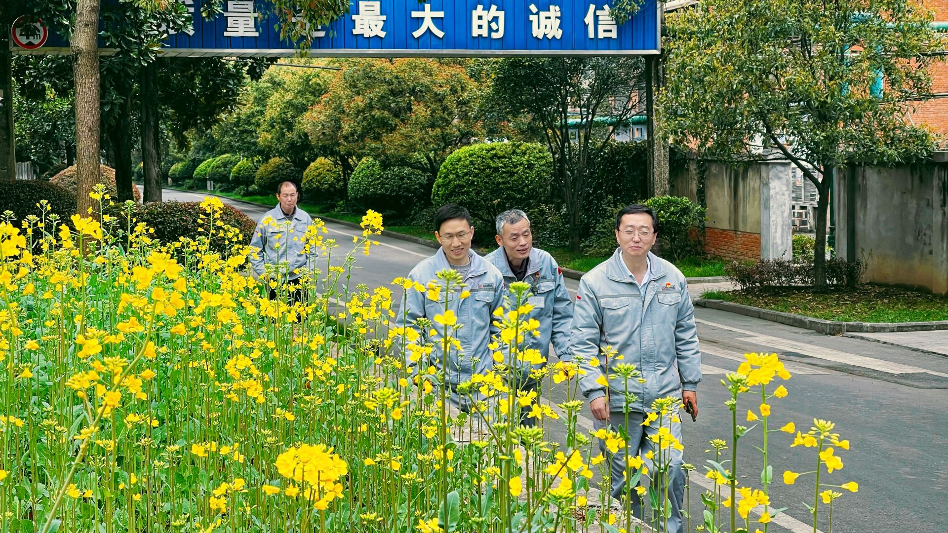 东风锻造有限公司锻造厂的厂区里，油菜花盛开，玉兰飘香，桃李争艳，鸟声婉转 刘鸿飞/摄