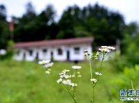 恩施深山里的微小学：仅有1名老师1名学生
