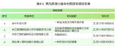 第九届湖北省专利奖获奖项目名单