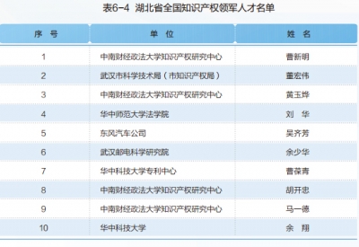 湖北省全国知识产权领军人才名单